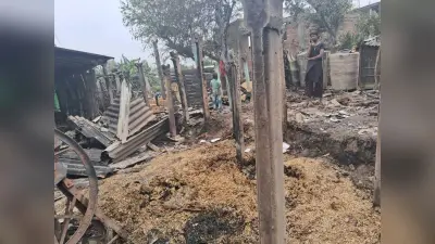 आग लगने से दर्जनों परिवार का घर जलकर राख कई मवेशी भी झुलस