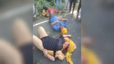 तेज गति से आ रही कार पेड़ से टकराई , महिला समेत आधा दर्जन लोग जख्मी