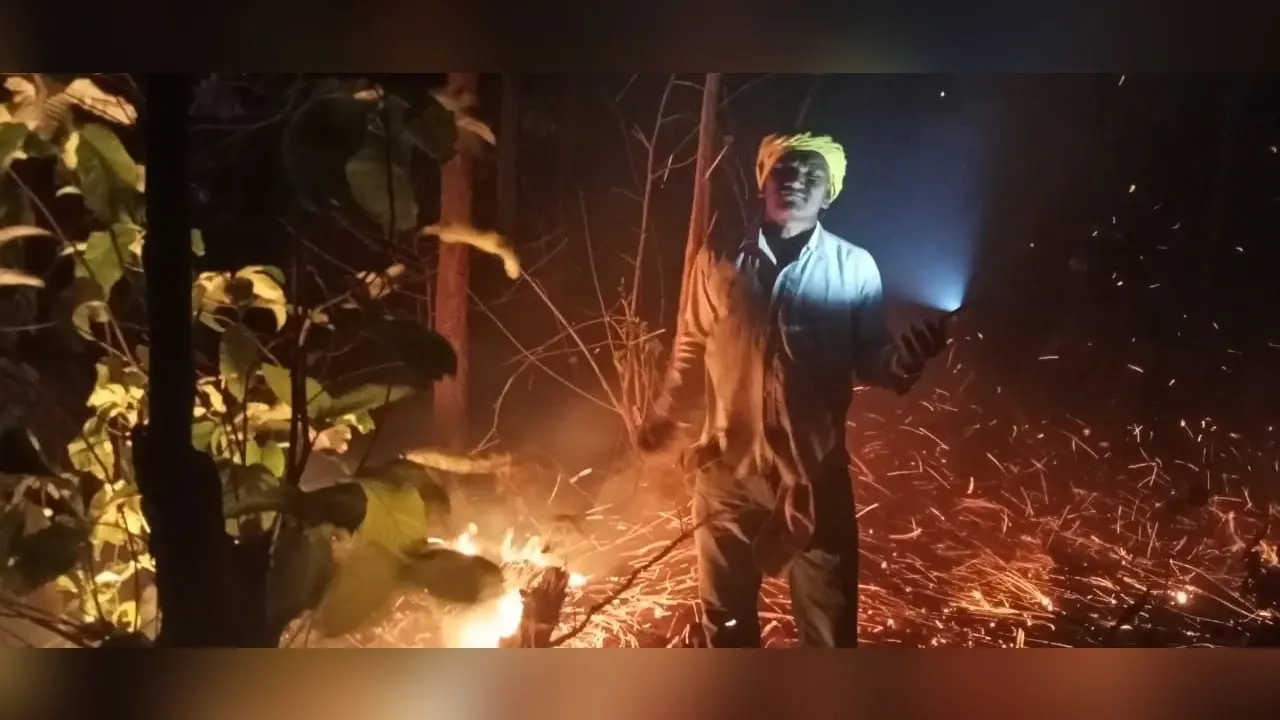 डुंडाडीह जंगल में लगी आग, पौधे व जीव-जंतु झुलसे