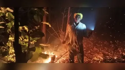 डुंडाडीह जंगल में लगी आग, पौधे व जीव-जंतु झुलसे