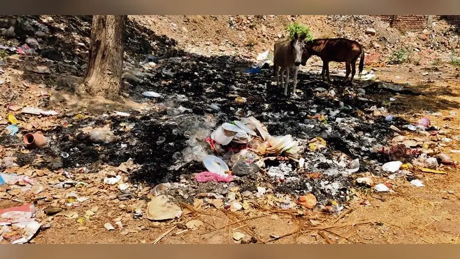 नगर परिषद उदासीन, सफाई व्यवस्था लचर