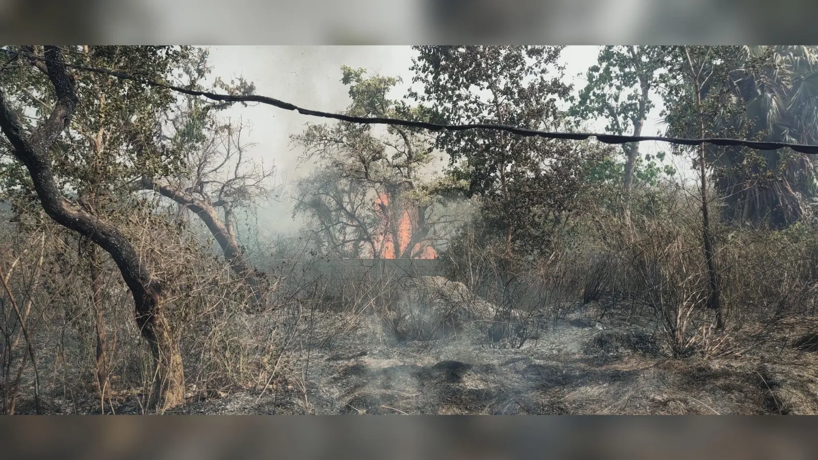 झाड़ियों में लगायी आग, निर्माणाधीन पावर ग्रिड जलने से बचा