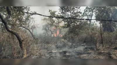 झाड़ियों में लगायी आग, निर्माणाधीन पावर ग्रिड जलने से बचा