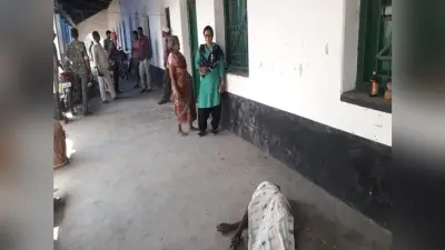 कोवाली : पतिसाई के वृद्ध का शव बरामद