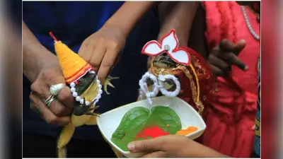 WB News : बारिश की कामना लिए मेंढक मेंढकी की कराई गई शादी, हल्दी के बाद विवाह के मंडप में हुआ सिंदूर दान भी