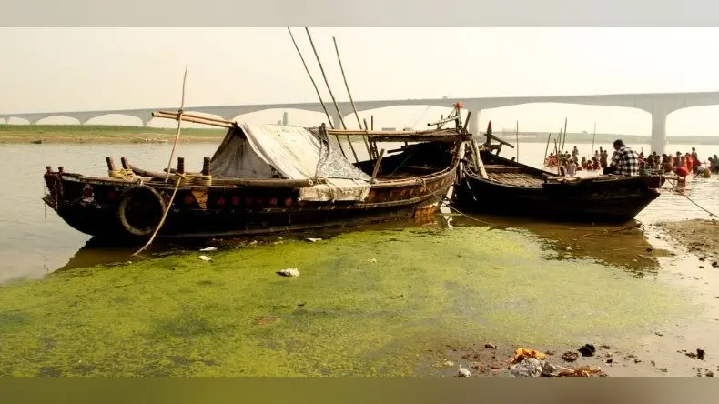 Ganga Floating Restaurant: गंगा में बनेगा तैरता रेस्टोरेंट, डॉल्फिन दर्शन के साथ व्यंजन का भी ले सकेंगे लुत्फ