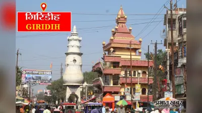 अधिकारियों से धक्का-मुक्की मामले में पूर्व प्रमुख पर केस
