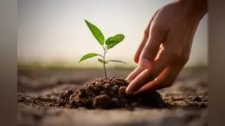 World Earth Day: व्यक्तिगत और सामूहिक स्तर पर पौधरोपण की जरुरत