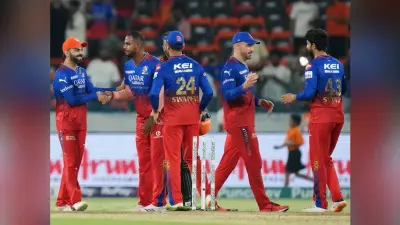 IPL 2024: डुप्लेसिस ने बताई कहां हुई चूक, कैसे फिसला हाथ से मैच