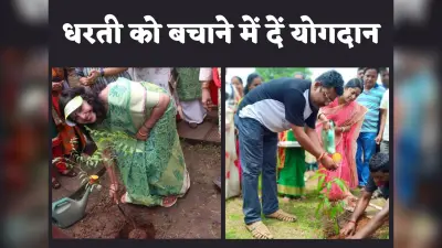 Global Warming Study : तेजी से पिघल रहा है ग्लेशियर, पृथ्वी को बचाने में आप ऐसे दें अपना योगदान