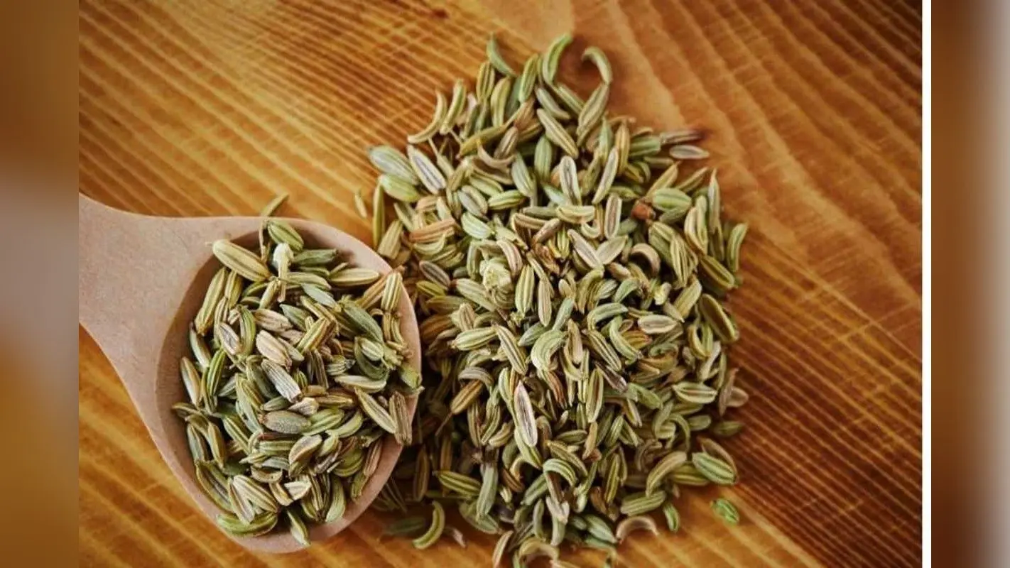 Saunf Benefits: डायबिटीज समेत इन बीमारियां को भी कंट्रोल करता है सौंफ