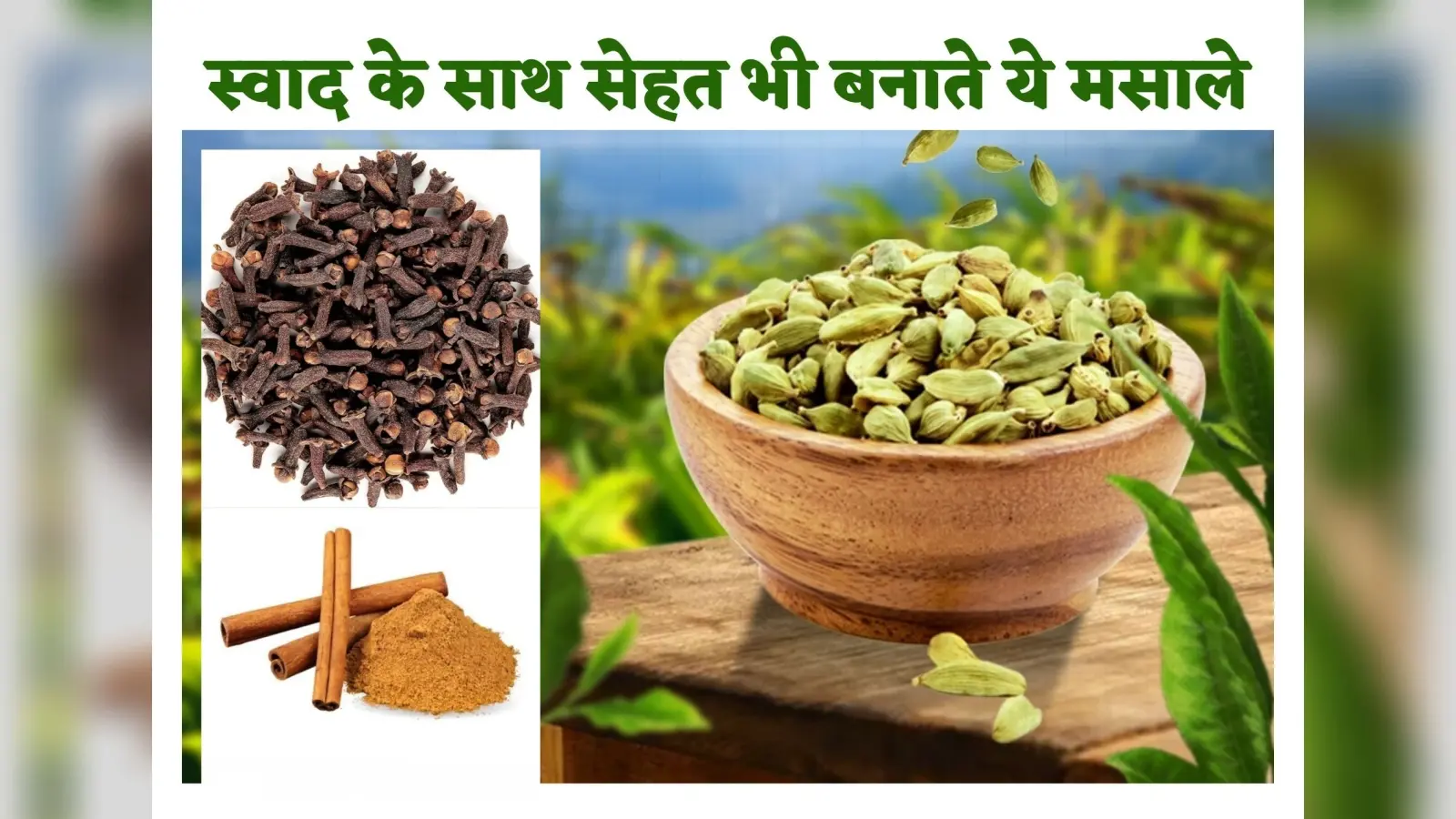 Benefits Of Spices : क्या आपको पता है कि स्वाद ही नहीं, सेहत भी बनाते हैं ये पांच मसाले