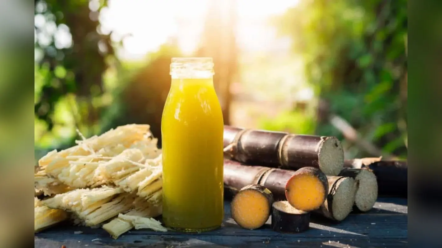 Sugarcane Juice Side Effects: डाइटिशियन से जानिए किन लोगों को गन्ने का रस नहीं पीना चाहिए?