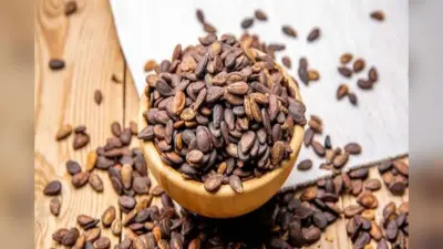 Calcium Rich Foods: दूध पीना नहीं पसंद, तो कैल्शियम की कमी को दूर करने में विकल्प बन सकते हैं सीड्स