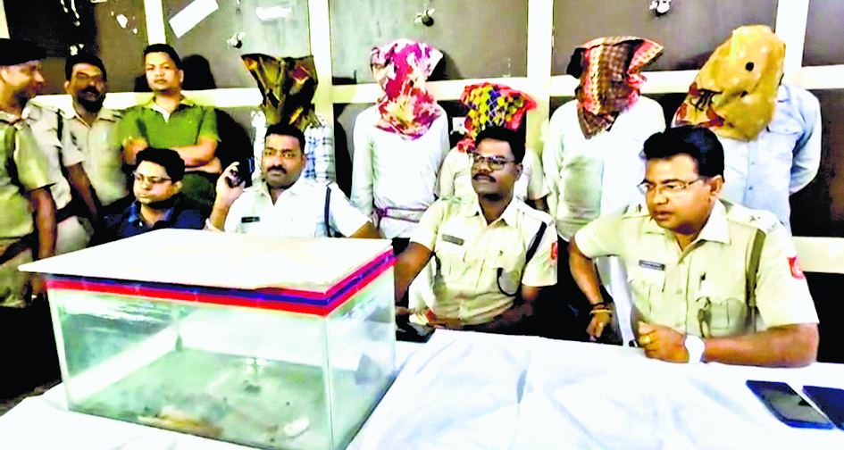 होटल के कमरे से विरल प्रजाति का तक्षक के साथ पांच लोग हुए गिरफ्तार
