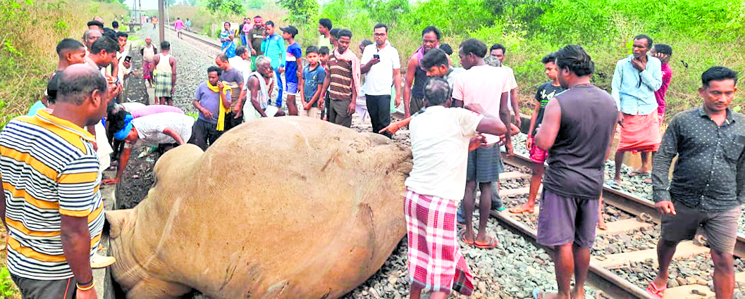 चांडिल में ट्रेन से कट कर हाथी की मौत, इंजन भी क्षतिग्रस्त