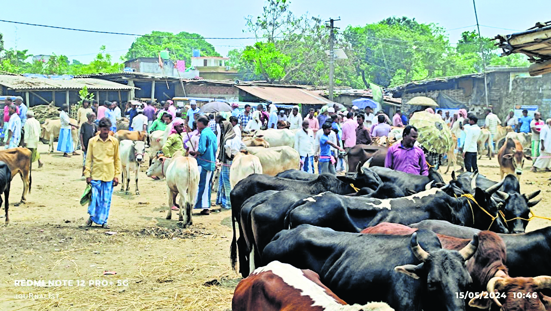 छत्तरगाछ हाट अतिक्रमणकारियों की चपेट में,संवेदक नहीं वसूल पा रहा राजस्व