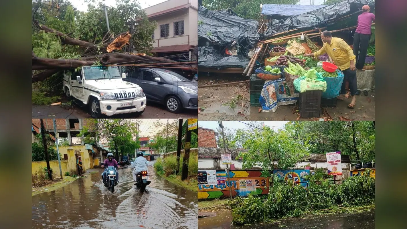 Jharkhand Weather: धनबाद में घने बादलों से दिन में छाया अंधेरा, आंधी के साथ झमाझम बारिश, कई जगहों पर गिरे पेड़