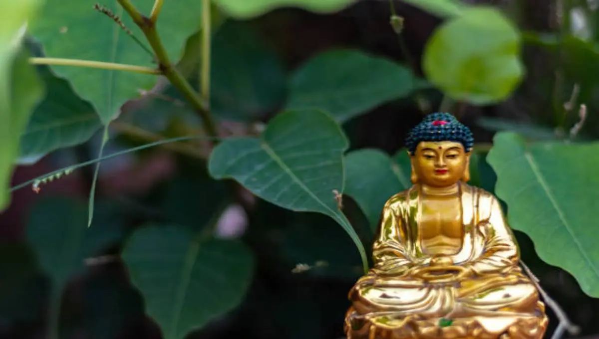 Astro Tips: शनिवार को मिलते हैं ये संकेत तो समझें लकी हैं आप, बनी रहेगी शनि देव की कृपा