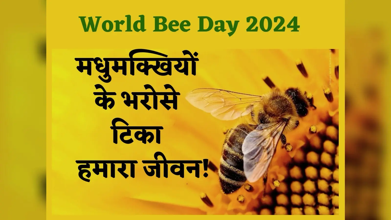 World Bee Day: मधुमक्खियों के बिना खत्म हो सकती है ये दुनिया, आखिर क्यों इतनी जरूरी हैं मधुमक्खियां