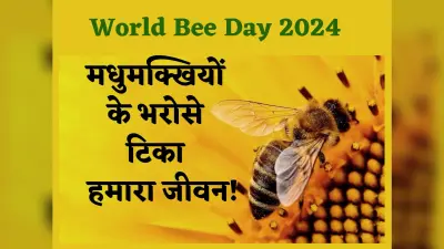 World Bee Day: मधुमक्खियों के बिना खत्म हो सकती है ये दुनिया, आखिर क्यों इतनी जरूरी हैं मधुमक्खियां