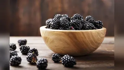 Benefits of Blackberries: ब्लैकबेरी है सुपरफूड, डायटीशियन से जानिए इसे खाने से होने वाले फायदों के बारे में