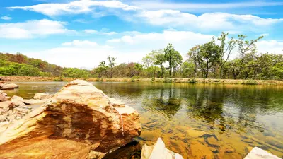 Travel : यदि आपको Nature से प्यार है, तो बिहार Eco Circuit में आपका स्वागत है