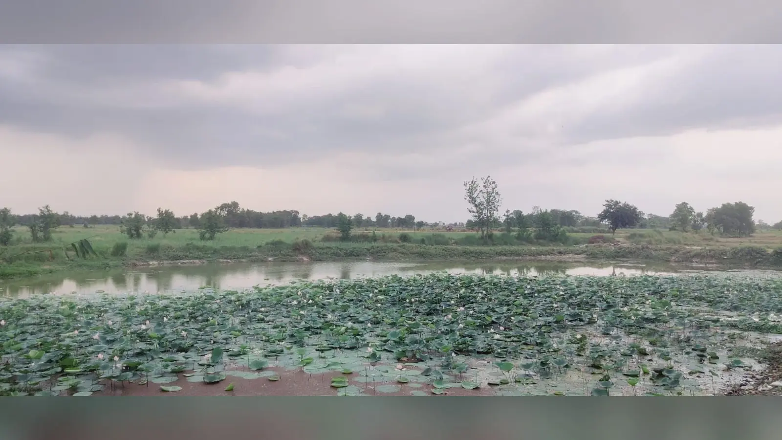Cyclone Remal : नरकटियागंज में बदला मौसम, आसमान में छाये बादल, चलने लगीं तेज हवाएं