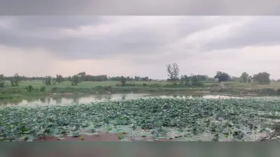 Cyclone Remal: बांग्लादेश और पश्चिम बंगाल की तटों से टकराया चक्रवाती तूफान रेमल, NDRF की 14 टीमें तैनात