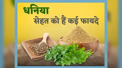 Dhania Benefits: धनिया के हैं कई फायदे, सिर्फ खाने का स्वाद ही नहीं बढ़ाता, बल्कि बनाता है सेहतमंद