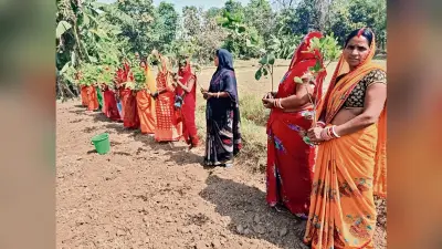 Patna : जीविका दीदियों ने एक दिन में लगाये 95 हजार पौधे लगा कर वोटराें को किया जागरूक