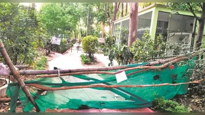 बर्ड फ्लू से बचाव को लेकर बिरसा जैविक उद्यान का पक्षी प्रभाग 15 दिनों के लिए बंद