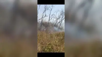 स्वांग के जंगलों में लगी आग, 150 पेड़ जले