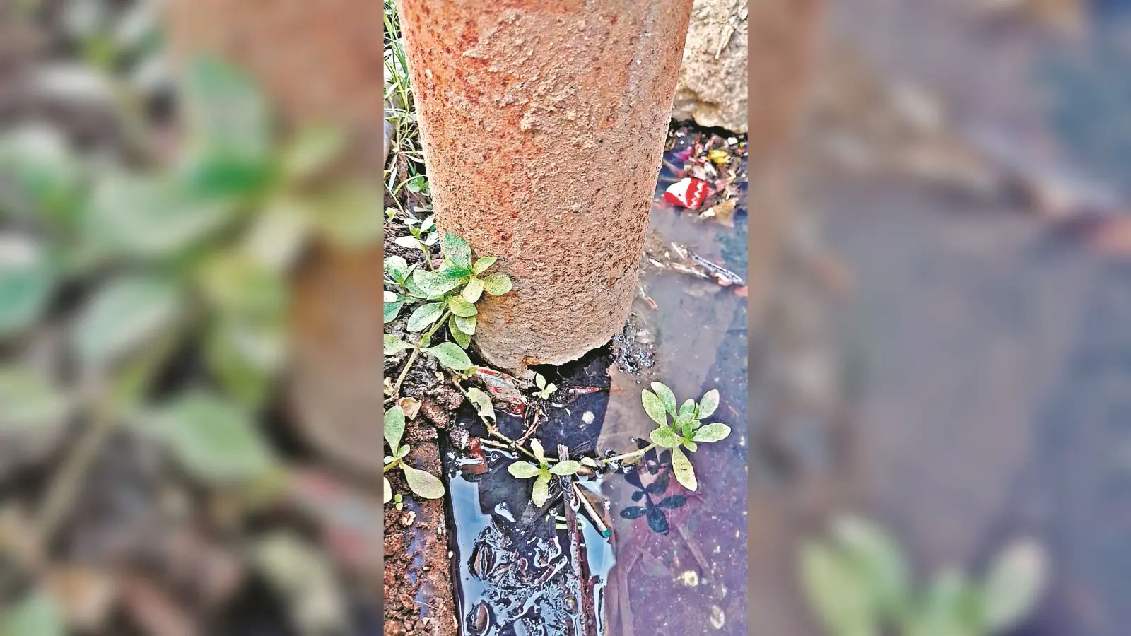 जर्जर पोल के सहारे हो रही बिजली आपूर्ति