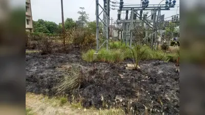 जेल उपकेंद्र के यार्ड में लगी आग, पौने तीन घंटे बाधित रही बिजली आपूर्ति