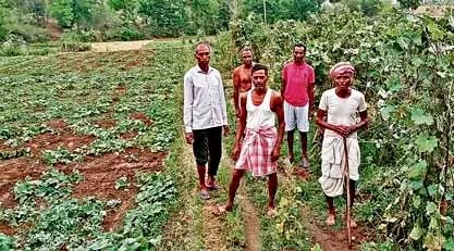 तेनुघाट में आंधी और ओलावृष्टि से सब्जी की खेती बर्बाद