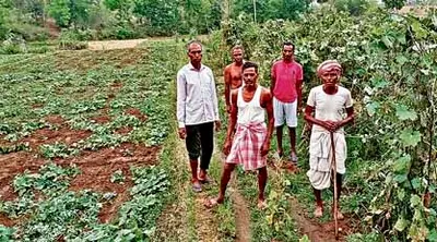 तेनुघाट में आंधी और ओलावृष्टि से सब्जी की खेती बर्बाद