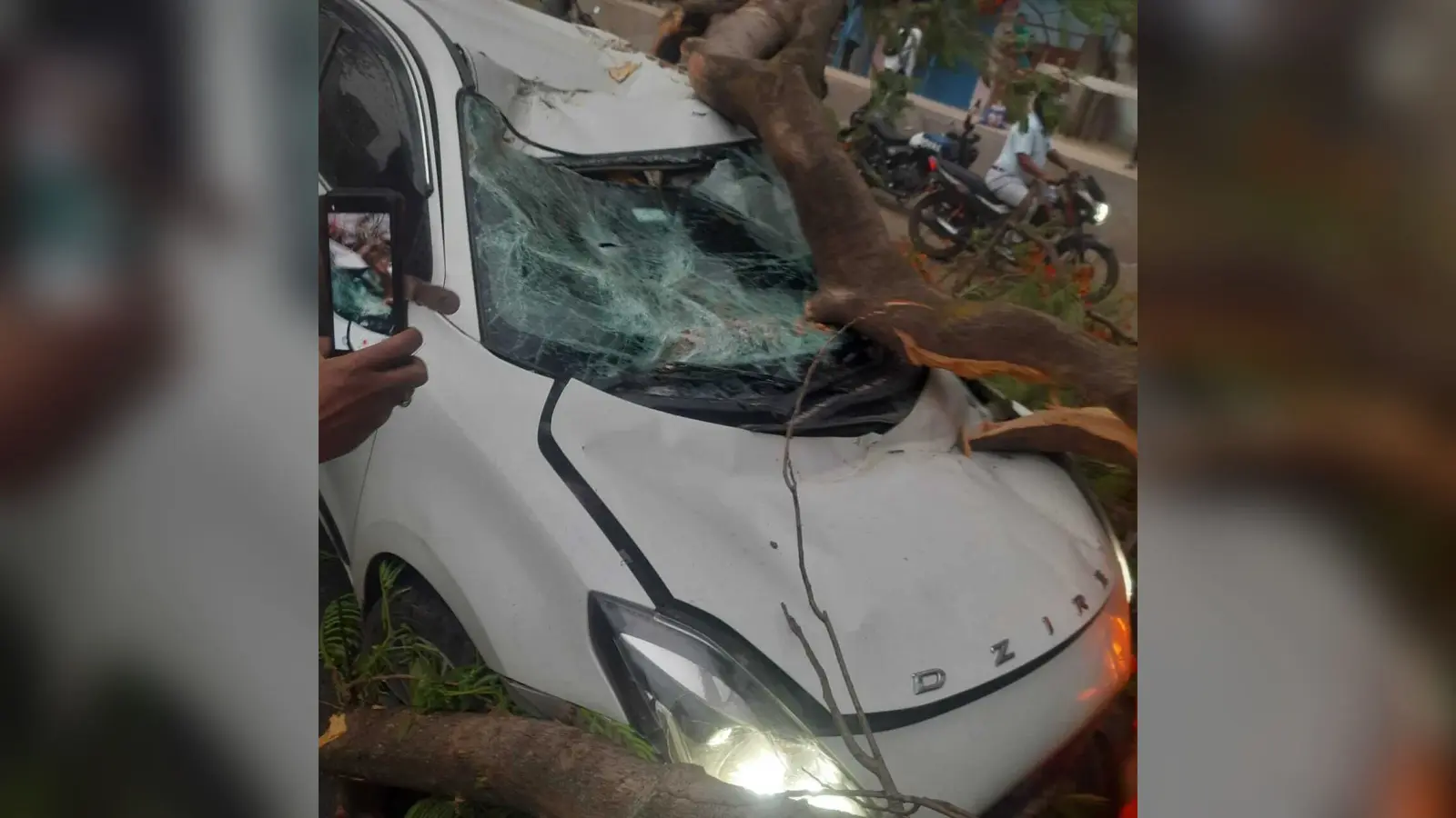 आंधी में सड़क पर गिरा विशाल पेड़, तीन लोग घायल, कार समेत कई वाहन क्षतिग्रस्त