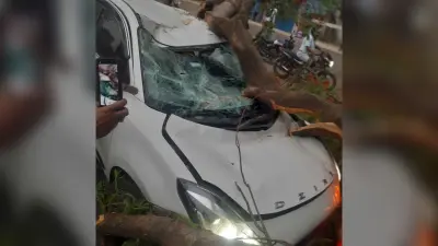 आंधी में सड़क पर गिरा विशाल पेड़, तीन लोग घायल, कार समेत कई वाहन क्षतिग्रस्त