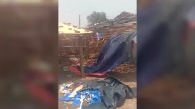 मोहनपुर में कई जगहों पर उखड़े पेड़