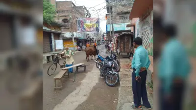 बाजार में टूटकर गिरा हाइटेंशन बिजली तार, मची अफरातफरी