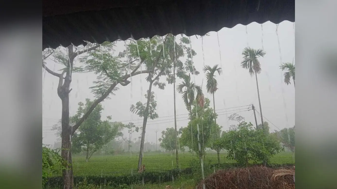 बारिश से किसानों के चेहरे पर लौटी मुस्कान