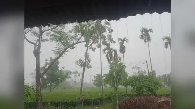 बारिश से किसानों के चेहरे पर लौटी मुस्कान