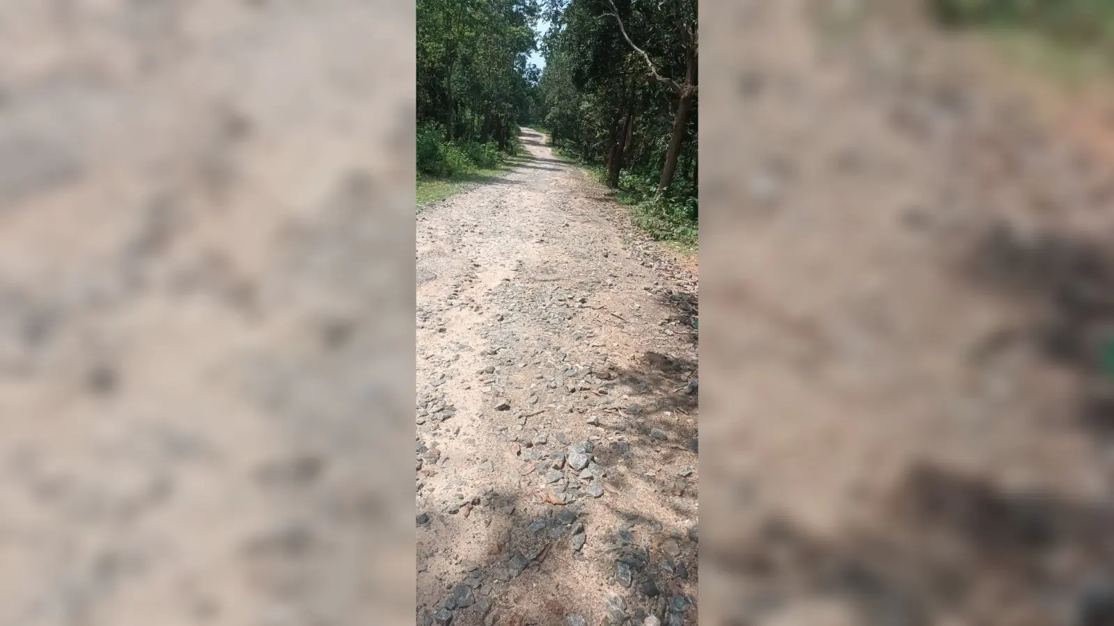तपकारा से फटका जानेवाली सड़क जर्जर