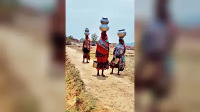नल जल योजना हुई फेल, चुएं के भरोसे मिल रहा है पानी