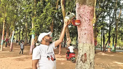 पक्षियों के लिए पेड़ों पर चुग्गा पानी की व्यवस्था
