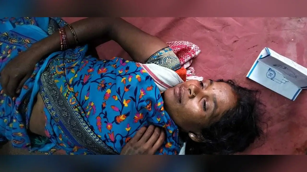 बेड़ो में ऑटो के पलटने से चार महिलाएं घायल, दो गंभीर