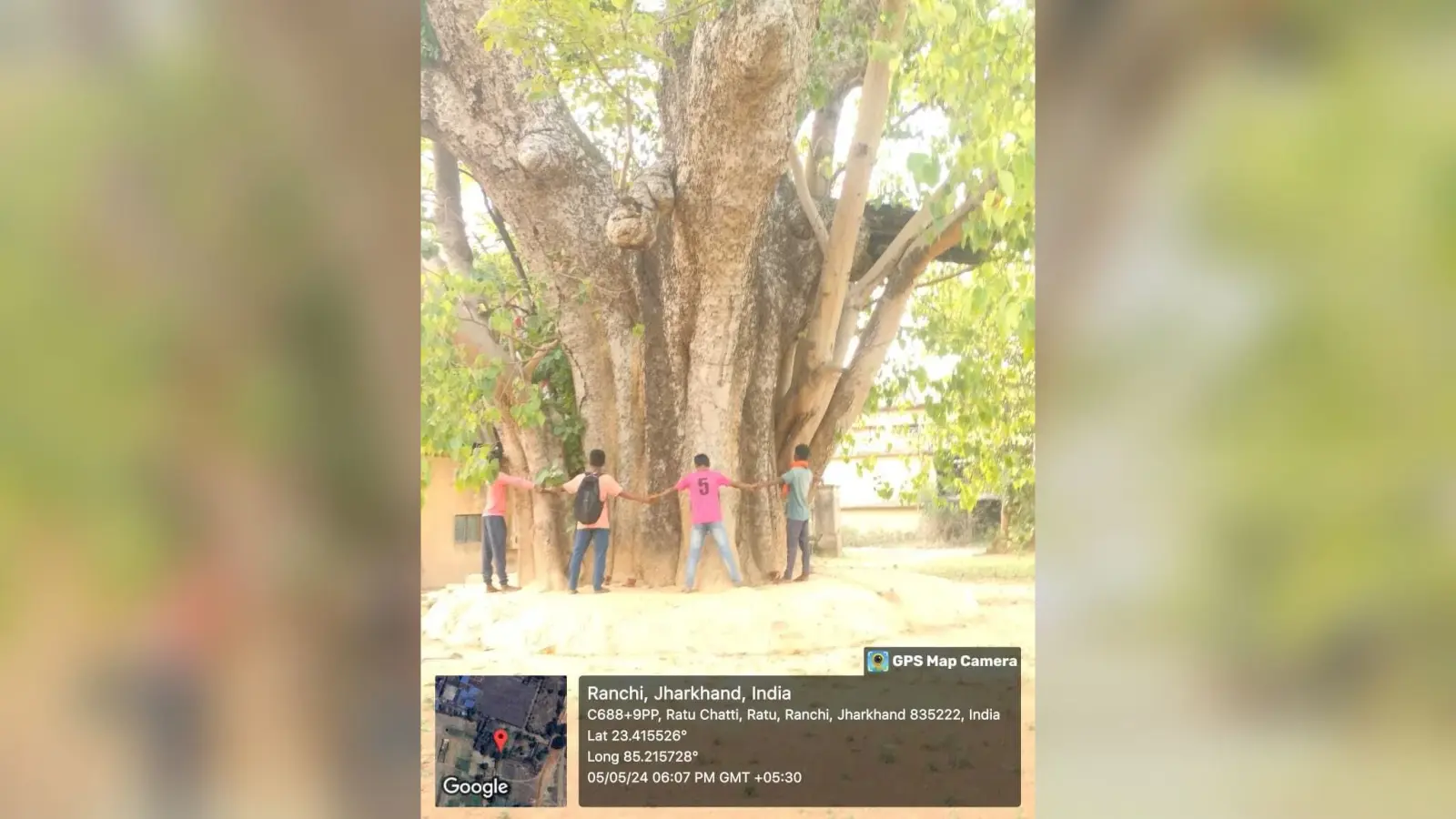 झारखंड में लुप्तप्राय हो गये औषधीय गुणों वाले सात पेड़-पौधे