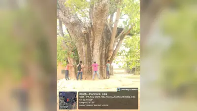 झारखंड में लुप्तप्राय हो गये औषधीय गुणों वाले सात पेड़-पौधे