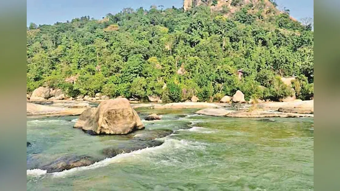 रीमिक्स फॉल में डूबने से कोकर के युवक की मौत
